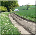 Farm track near Ashby Folville in LE14 2TE