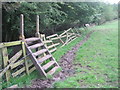 Ladder stile for footpath to Little Newsham in DL2 3QP