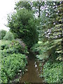 Pertenhall Brook in Pertenhall
