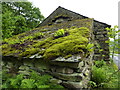 Moss and ferns on barn roof in LA20 6ED