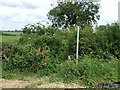 Footpath off Chelveston Road in NN9 6FH
