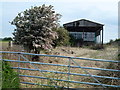 Bush and barn at Mill Farm in NR29 4LP