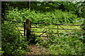 Gate on the Bridleway, Apse Heath, Isle of Wight in PO37 7PT