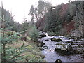 Jerry's Linn Gorge, Chirdon Burn in NE48 1LQ