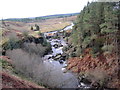 Jerry's Linn and Gorge in NE48 1LQ