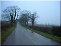 Wet road - Willington Lane in CW6 0HG