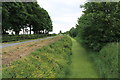 Weed-choked drain at North Coates Airfield in North Cotes