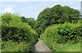 2012 : Clay Lane on the Mendips in BA3 4NP
