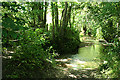 Chetnole: ford on Wriggle River in DT9 6PE