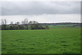 Flat farmland near Dumbourne in TN30 7ND