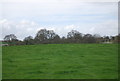 Countryside south of Dumbourne in TN30 7ND