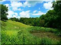 Valley, edge of Siccaridge Wood, near Frampton Mansell in GL6 7PB
