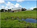 Barns and wet fields at Stile House farm in ST13 7LR