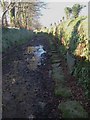 Muddy path and helpful stones in PL19 9NB