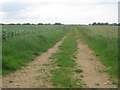 Farm track off Norton Lane in LN8 2AX