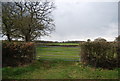 Field gate, Hornhill Lane in RH12 3BH