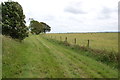 Farm track, near Gildridge Farm in BN27 1QB