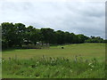 Grazing land off the A1087 in EH42 1RW