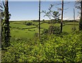 View from Couchill Woods in EX12 2HD