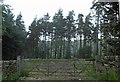 Gate into Spring Moor Wood from Gill Royd Lane in S36 4GZ