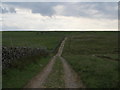 Track at Delves Beck on Middleton Moor in LS29 0ET