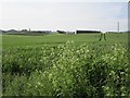 Arable land near Overshiel in EH53 0FF