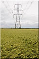 Pylons and a barley field in GL54 3PU