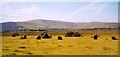Stone Circle Gors Fawr in Mynachlogddu Community
