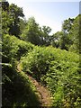Footpath on Heathhayne Hill in EX24 6RU