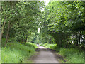 Consett and Sunderland Railway Path in DH9 6RG