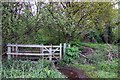 Gate into Sandford Mill Copse in RG5 4UE