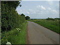 Road heading east towards end of Hambleton Peninsula in Rutland