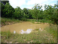 Muddy pond, Bedfords Park in RM3 7JS