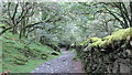 The path down to Croesor in LL48 6SR