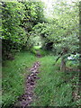 Bridleway into Lilby in MK19 6BX