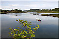 Tidal water to the northeast of Loch Caithlim in PA34 4TN