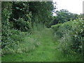 Track by Salters Wood in PE6 7AE