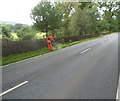 Strimming the verge of the A40 in the Usk Valley in NP8 1DL