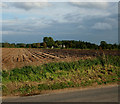 Norfolk Farmland in NR10 4QA