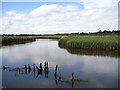 Remains of a jetty on the River Blyth in IP19 9LP