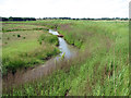 Drainage ditch beside the River Blyth in IP19 9LP