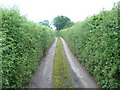 A quiet lane between Skenfrith and Garway in HR2 8RL