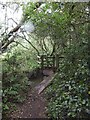 Footbridge and kissing gate on edge of Blackpan Common in PO36 9PR