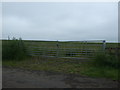Field entrance near Lickar Dean in TD15 2TP