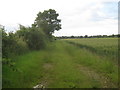Farm track off Horncastle Lane in LN1 2UP