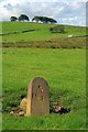 Boundary Stone, Cressbank Common in SK11 0NH
