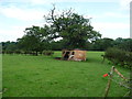 Old shed in a field near Oaklands Park in GL14 1EB