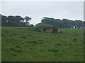 Old Lime kiln near Denwick Lane End in NE66 3RG