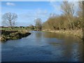 River Avon at Netheravon in SP4 9RY