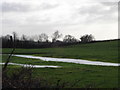 Early River Allen by Monkton Up Wimborne in BH21 5NW